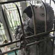 ヒメ日記 2025/08/27 08:46 投稿 ありす 丸妻 横浜本店