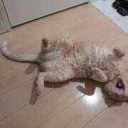 ヒメ日記 2025/09/01 14:17 投稿 ありす 丸妻 横浜本店