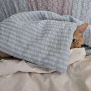 ヒメ日記 2025/09/02 14:30 投稿 ありす 丸妻 横浜本店