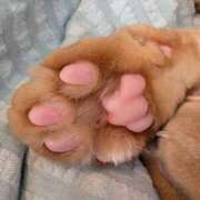 ヒメ日記 2025/09/10 10:18 投稿 ありす 丸妻 横浜本店