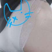 ヒメ日記 2025/09/23 10:01 投稿 ありす 丸妻 横浜本店