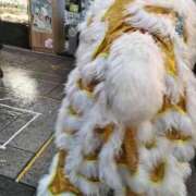 ヒメ日記 2025/10/02 08:34 投稿 ありす 丸妻 横浜本店