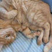 ヒメ日記 2025/11/09 20:45 投稿 ありす 丸妻 横浜本店