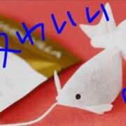 ヒメ日記 2025/11/12 07:28 投稿 ありす 丸妻 横浜本店