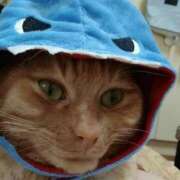 ヒメ日記 2025/11/22 20:41 投稿 ありす 丸妻 横浜本店