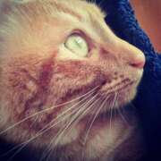 ヒメ日記 2025/11/23 11:57 投稿 ありす 丸妻 横浜本店