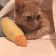 ヒメ日記 2025/11/28 08:21 投稿 ありす 丸妻 横浜本店