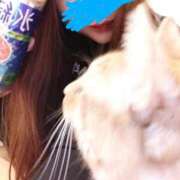 ヒメ日記 2025/12/02 09:31 投稿 ありす 丸妻 横浜本店