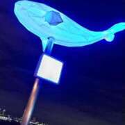 ヒメ日記 2025/12/23 09:08 投稿 ありす 丸妻 横浜本店