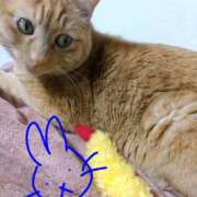 ヒメ日記 2026/02/11 21:19 投稿 ありす 丸妻 横浜本店