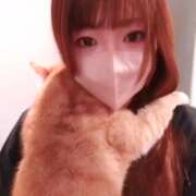 ヒメ日記 2026/02/21 14:07 投稿 ありす 丸妻 横浜本店