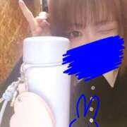 ありす 🐱今日から始めたマイボトル生活🐱 丸妻 横浜本店