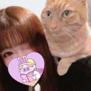 ヒメ日記 2026/03/14 07:04 投稿 ありす 丸妻 横浜本店