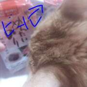 ヒメ日記 2026/03/15 19:42 投稿 ありす 丸妻 横浜本店