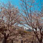 ヒメ日記 2025/04/07 17:38 投稿 しおり つまみぐいイケちゃいますよ！