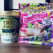 ヒメ日記 2025/04/12 17:03 投稿 しおり つまみぐいイケちゃいますよ！