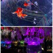 ヒメ日記 2025/11/12 14:36 投稿 あいな(9000) 原価デリヘルcospa（コスパ）