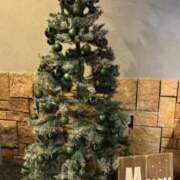 ヒメ日記 2025/11/13 16:16 投稿 あいな(9000) 原価デリヘルcospa（コスパ）