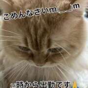 ヒメ日記 2026/02/08 11:46 投稿 あいな(9000) 原価デリヘルcospa（コスパ）