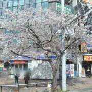 ヒメ日記 2026/04/05 10:06 投稿 あいな(9000) 原価デリヘルcospa（コスパ）