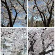 ヒメ日記 2026/04/09 18:49 投稿 あいな(9000) 原価デリヘルcospa（コスパ）