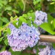 ヒメ日記 2025/06/17 18:29 投稿 せな コスプレ痴漢電車