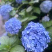 ヒメ日記 2025/06/23 11:14 投稿 せな コスプレ痴漢電車