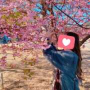 ヒメ日記 2025/03/06 19:14 投稿 せな 全裸SUPERプレミアム