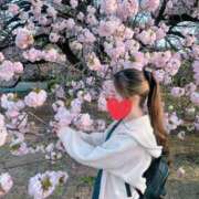 ヒメ日記 2025/04/20 09:38 投稿 せな 全裸SUPERプレミアム