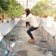 ヒメ日記 2025/07/04 01:45 投稿 沙織（サオリ） アロマ新横浜