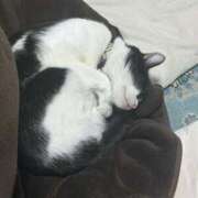 ヒメ日記 2026/01/24 17:40 投稿 沙織（サオリ） アロマ新横浜