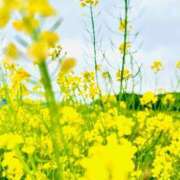 ヒメ日記 2025/03/29 14:21 投稿 あさみ ラブハート