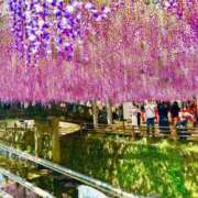 ヒメ日記 2025/04/29 12:21 投稿 あさみ ラブハート