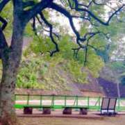 ヒメ日記 2025/06/02 13:25 投稿 あさみ ラブハート