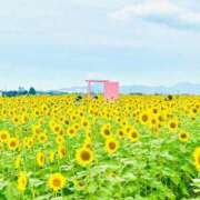 ヒメ日記 2025/09/03 17:51 投稿 あさみ ラブハート