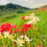 ヒメ日記 2025/10/03 11:51 投稿 あさみ ラブハート