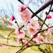 ヒメ日記 2026/02/25 10:21 投稿 あさみ ラブハート