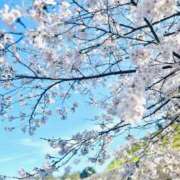ヒメ日記 2026/04/03 09:51 投稿 あさみ ラブハート