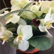 ヒメ日記 2025/05/18 18:21 投稿 ゆき ラブハート