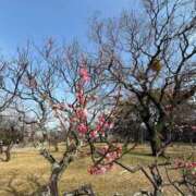 ヒメ日記 2026/03/02 11:21 投稿 ゆき ラブハート