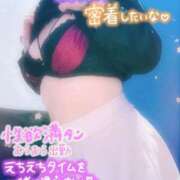 ヒメ日記 2025/04/04 09:40 投稿 望月えみ 五十路マダム静岡店（カサブランカG）