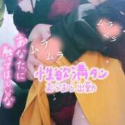 ヒメ日記 2025/06/03 10:54 投稿 望月えみ 五十路マダム静岡店（カサブランカG）