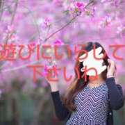 ヒメ日記 2025/03/05 06:30 投稿 渡瀬琴音 プレジデントハウス