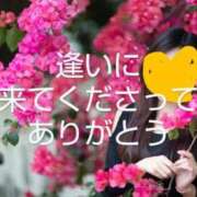 ヒメ日記 2025/03/15 21:45 投稿 渡瀬琴音 プレジデントハウス