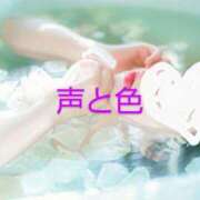 ヒメ日記 2025/03/19 23:00 投稿 渡瀬琴音 プレジデントハウス