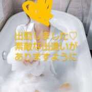 ヒメ日記 2025/03/22 09:45 投稿 渡瀬琴音 プレジデントハウス