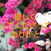 ヒメ日記 2025/03/22 13:30 投稿 渡瀬琴音 プレジデントハウス