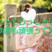 ヒメ日記 2025/03/24 06:30 投稿 渡瀬琴音 プレジデントハウス