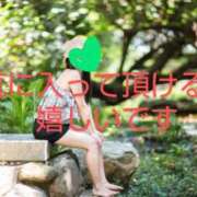 ヒメ日記 2025/03/26 06:30 投稿 渡瀬琴音 プレジデントハウス