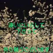 ヒメ日記 2025/03/30 22:30 投稿 渡瀬琴音 プレジデントハウス